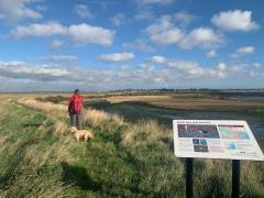 Rounding the point of the peninsula, with West Mersea in the distance across the estuary